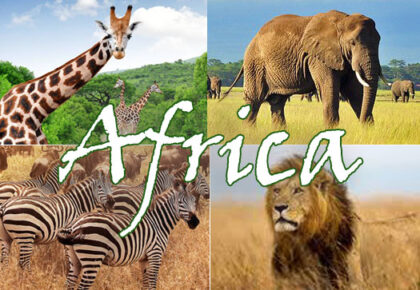 Visit Africa